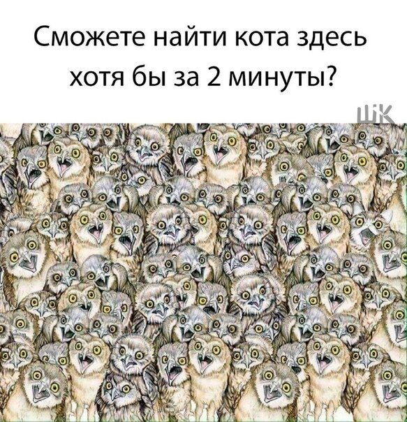 Источник: https://headinsider.net/ 