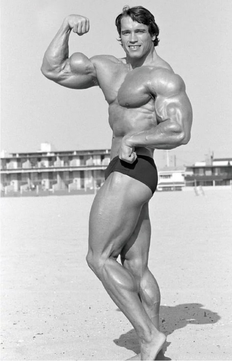 Арнольд Шварценеггер в молодости. Картинка взята из просторов Интернета