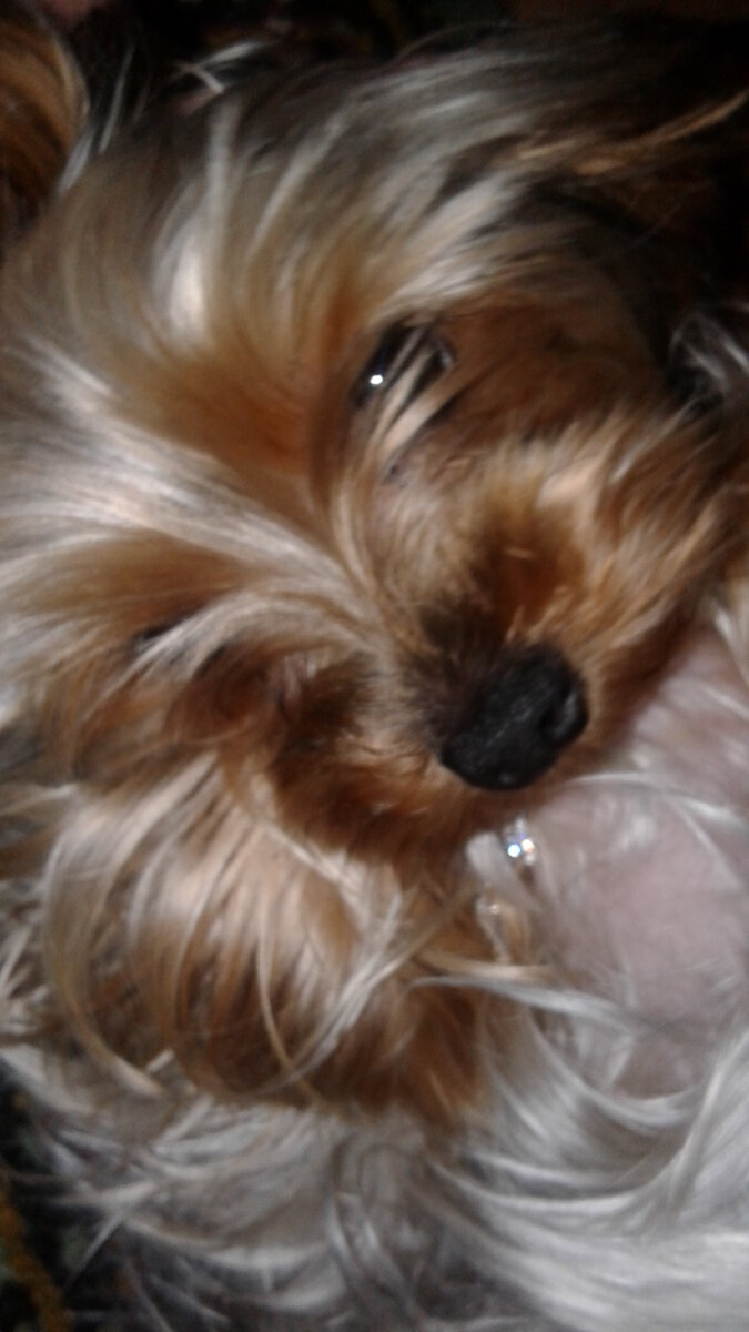 Мэгги кокетничает))