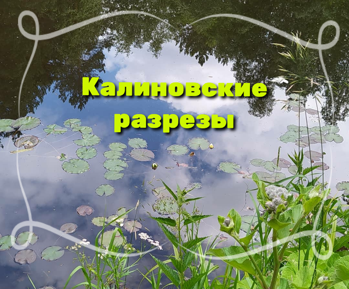 Приветствую вас на моем блоге Sunmarco Travel Приглашаю вас побывать в местечке под названием Калиновские разрезы! Это довольно милая лесопарковая зона отдыха для жителей Екатеринбурга.