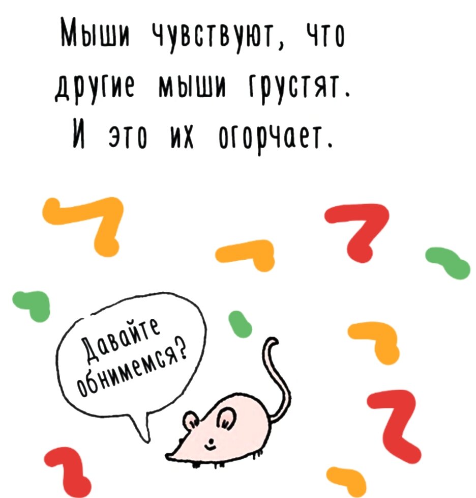 Сношение мышей. Лисы живут охотятся едят и спят в одиночестве. Не чувствую мышь. Крыса мем. Кошка охотится на мышь в доме.