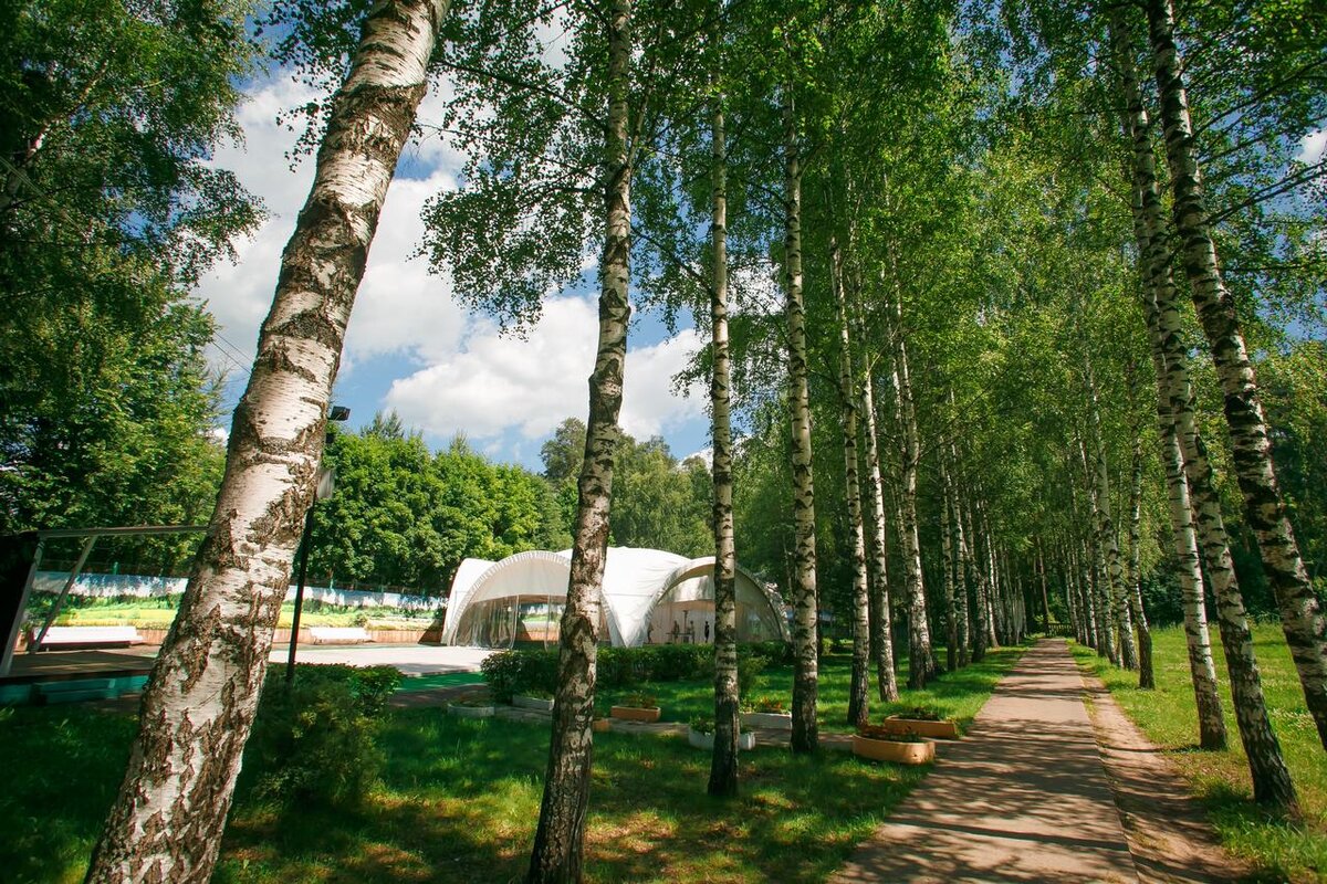 санаторий зеленый городок