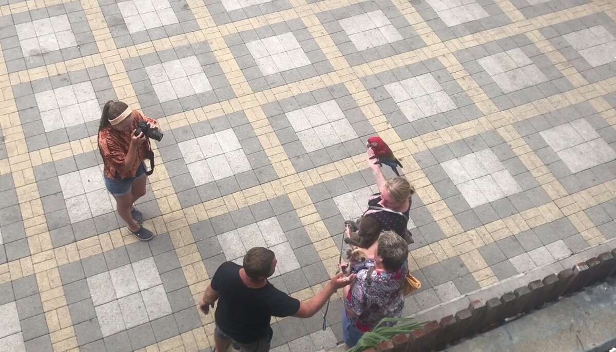 "прикольное фото на память!"