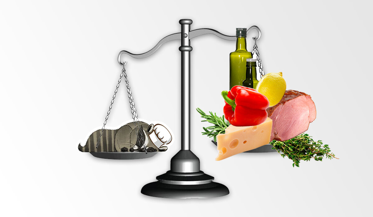 Лайк и подписывайтесь на канал, чтобы видеть больше интересного от Енота ;)