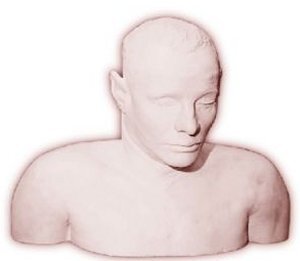 Слепок Неизвестного мужчины, сделанный для продолжения расследования.
Изображение взято из открытого источника: www.wikipedia.org