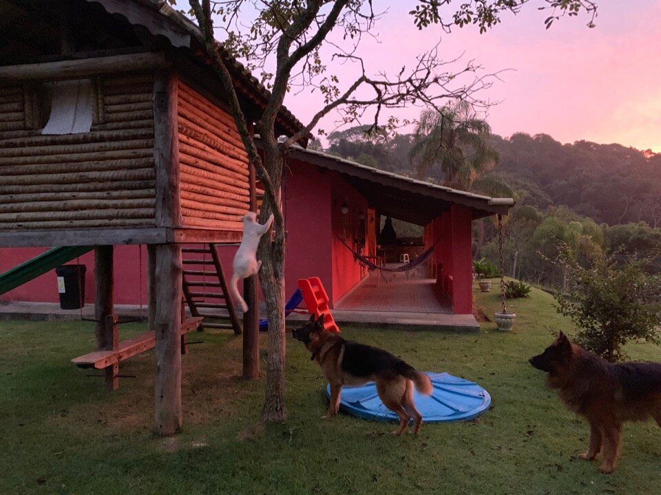 О том, как мы нашли наш дом и переехали из Сан-Паулу жить в джунгли (продолжение)