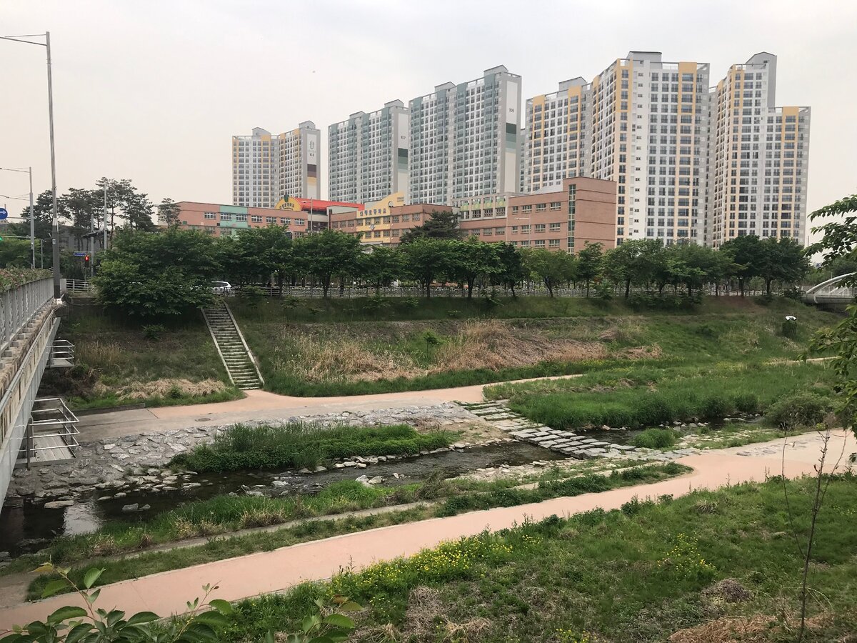 Корейцы очень круто озеленяют, облогораживают. Особено круто смотрятся камни - мостик.