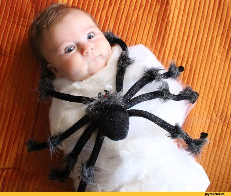 Источник: safereactor.cc