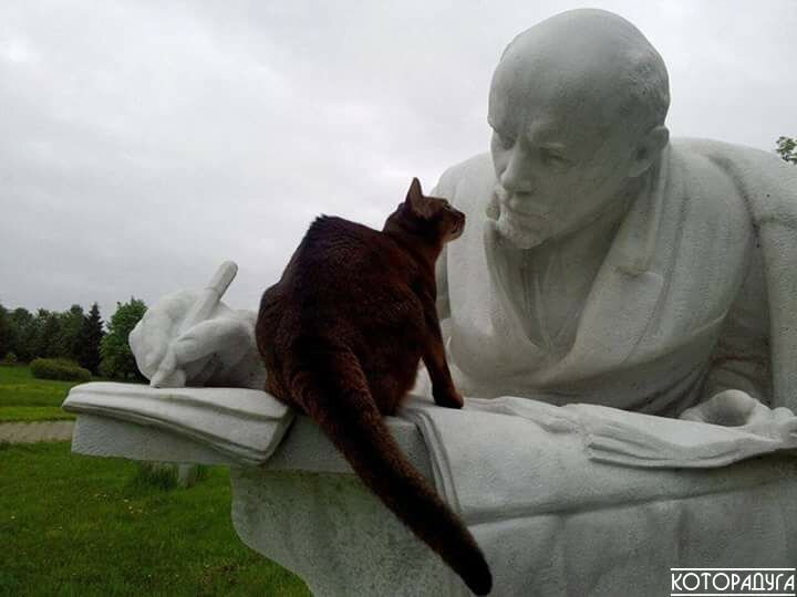 Источник: pinterest.com