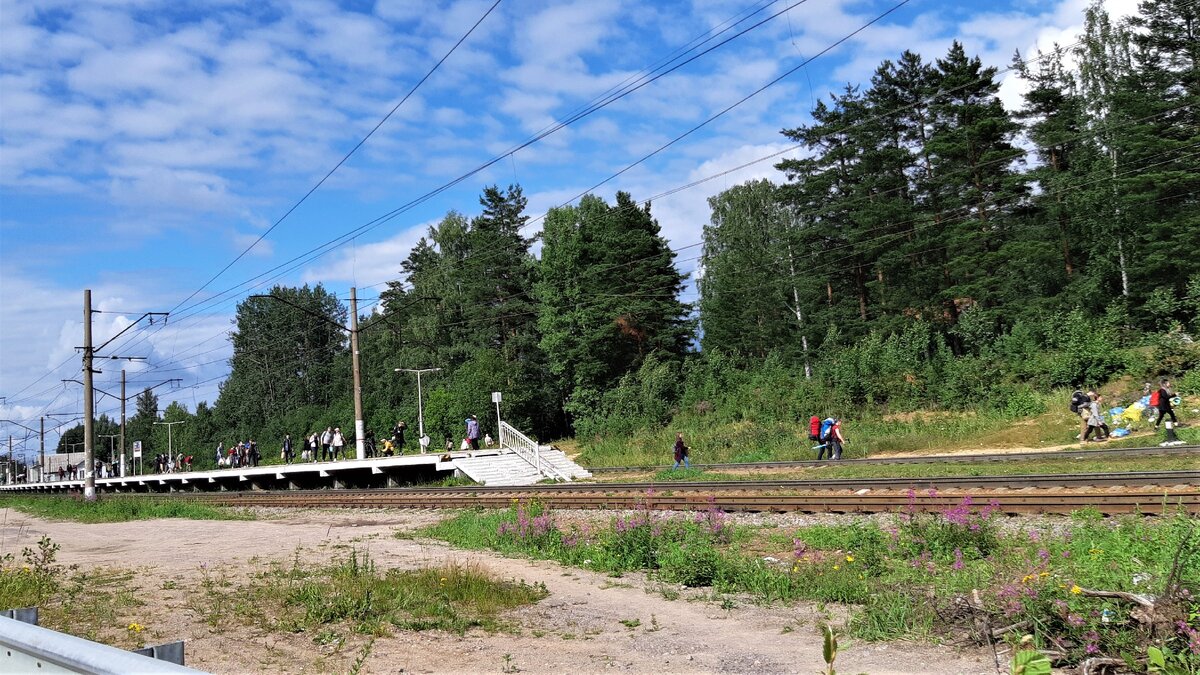 железнодорожная станция Орехово Народная тропа не зарастает и летом)))