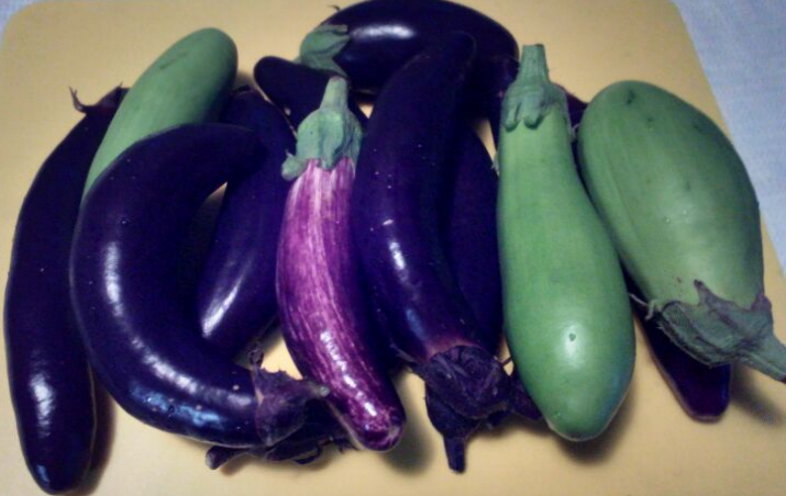 Собрала баклажаны