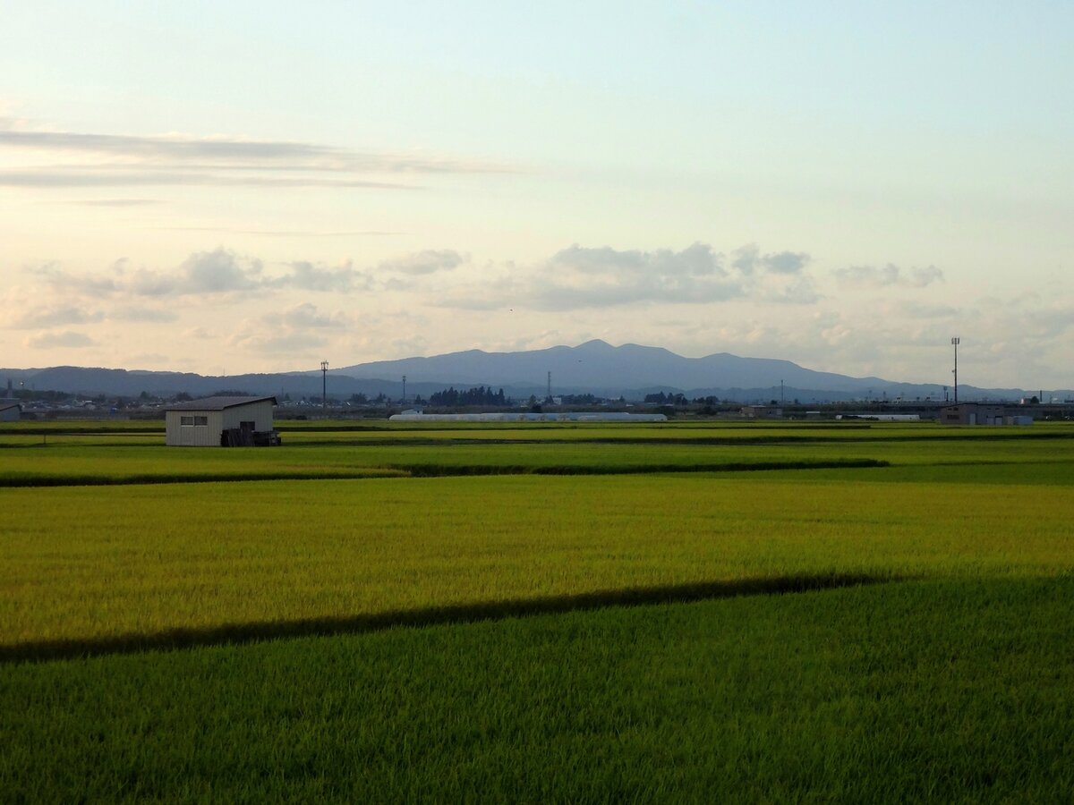 Японский пейзаж. Фото из личного архива Анны.