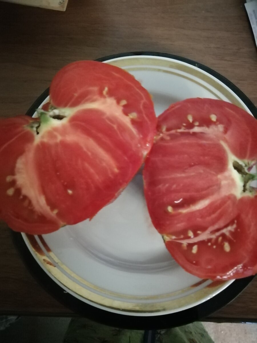 "Сочинский" в продольном разрезе