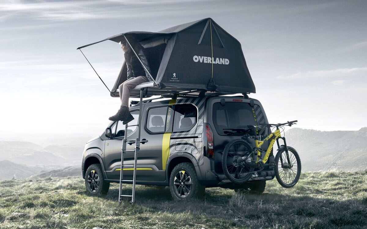 Скачано из открытых источников Яндекса