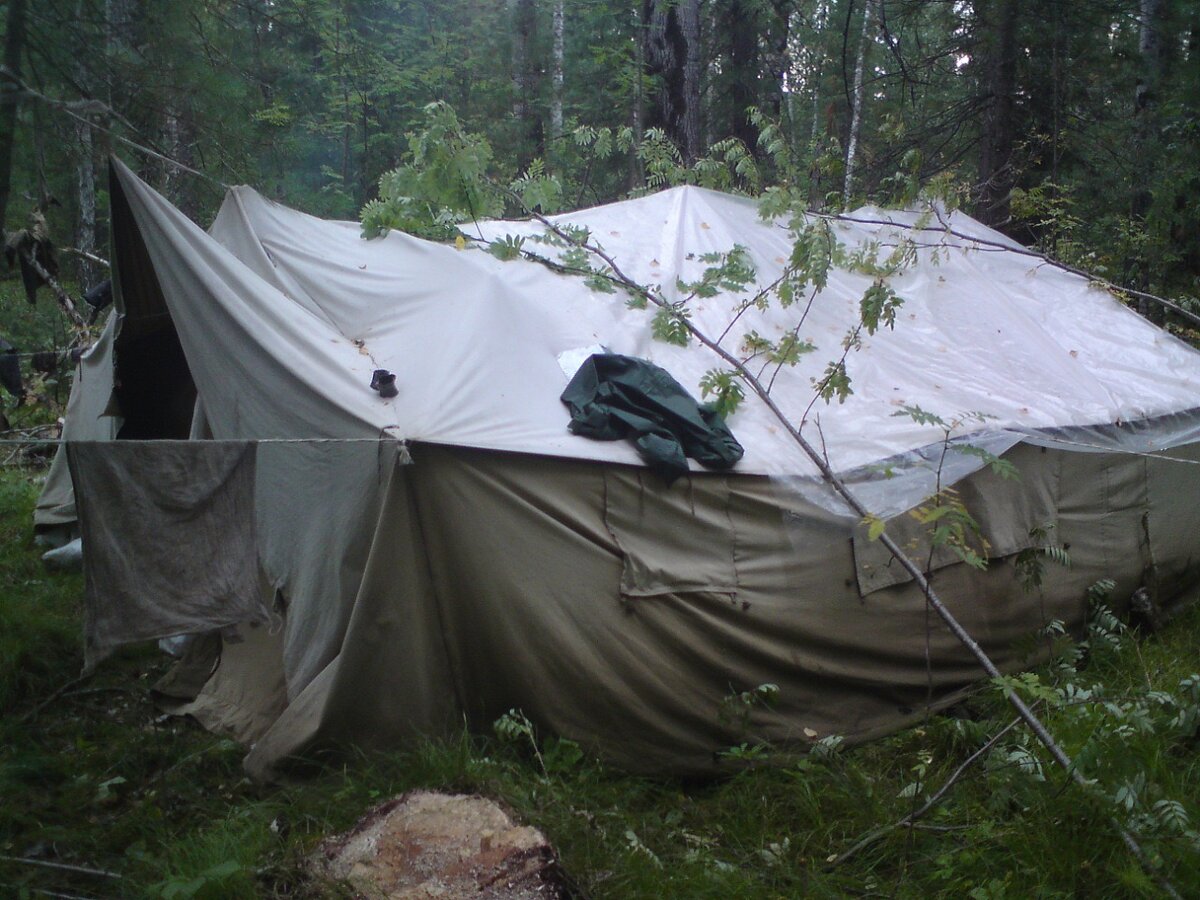 Забросало ветками 