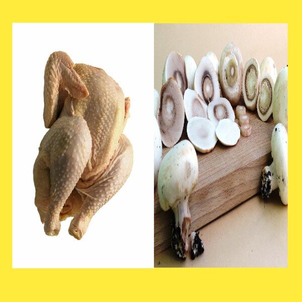 Курица и грибы