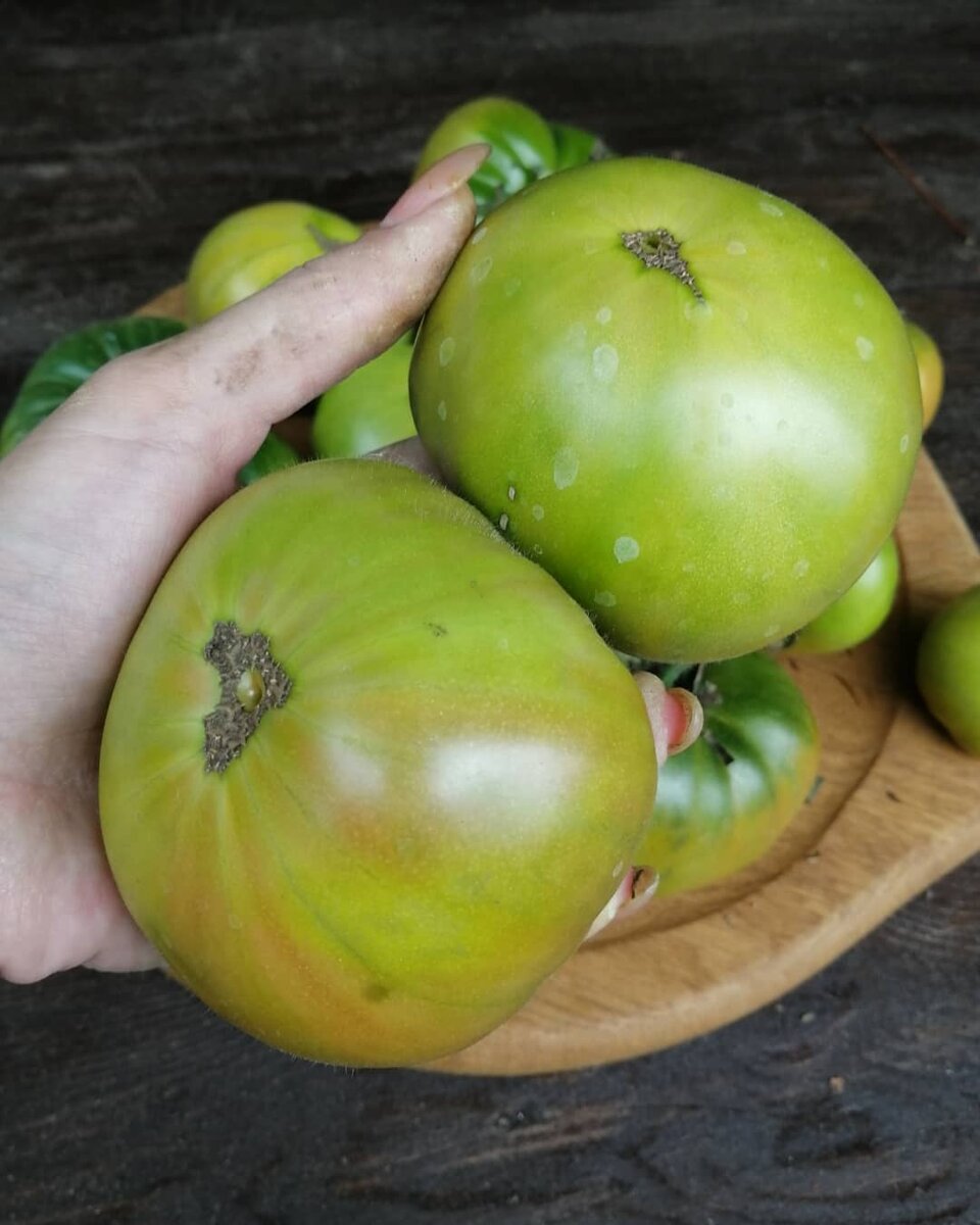 Оранжеватые и розоватые штрихи 