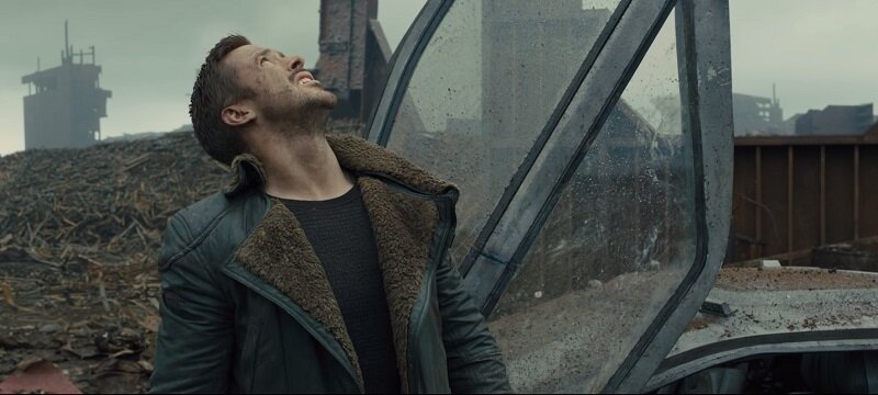 [caption id="attachment_1532" align="aligncenter" width="800"] Из кинофильма Blade Runner 2049 (права на изображение принадлежат его законному владельцу)[/caption]