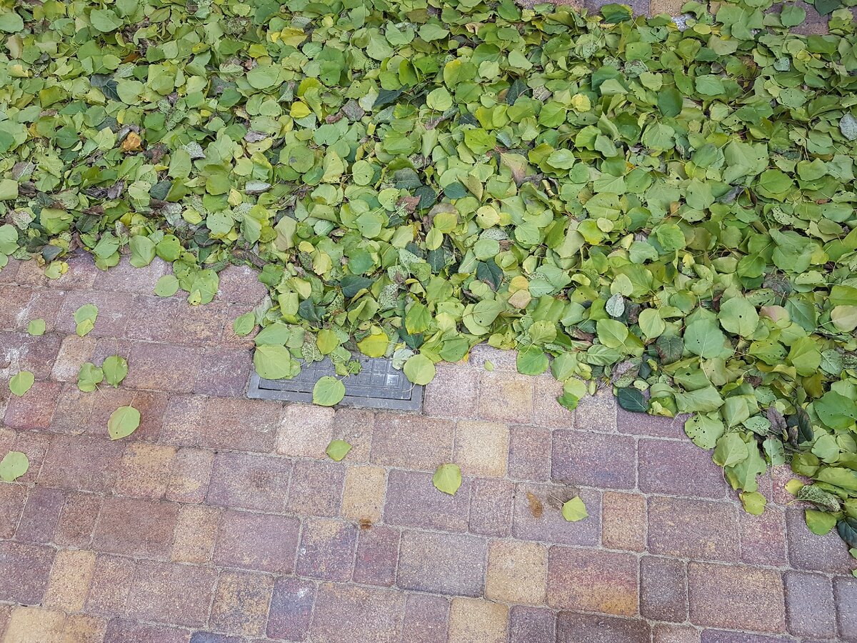 Камера Samsung Galaxy S7