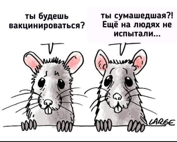 Из открытых источников