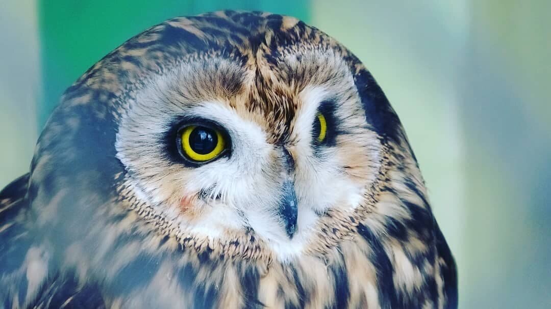 Листай галерею :)