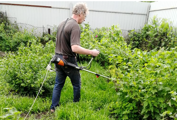 Муж косит траву между кустами