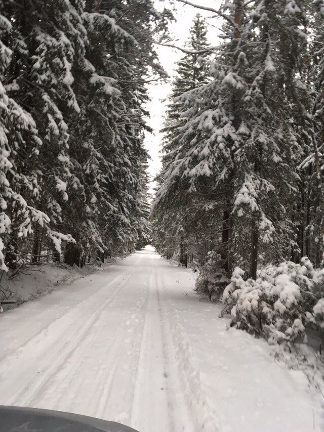 Дорога в светлое будущее !
