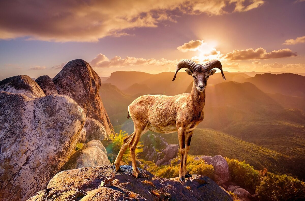 фото из интернета