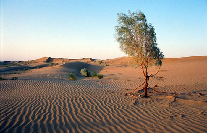 Источник фото: turkmenistan.gov.tm