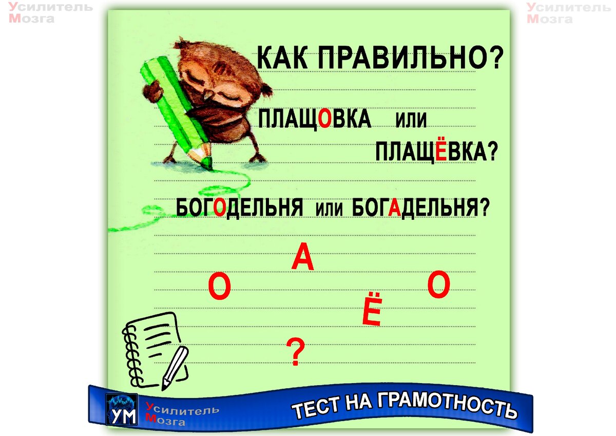 Сколько слов из 10 вы напишете без ошибок? Тест на грамотность | УМ -  Усилитель Мозга | Дзен