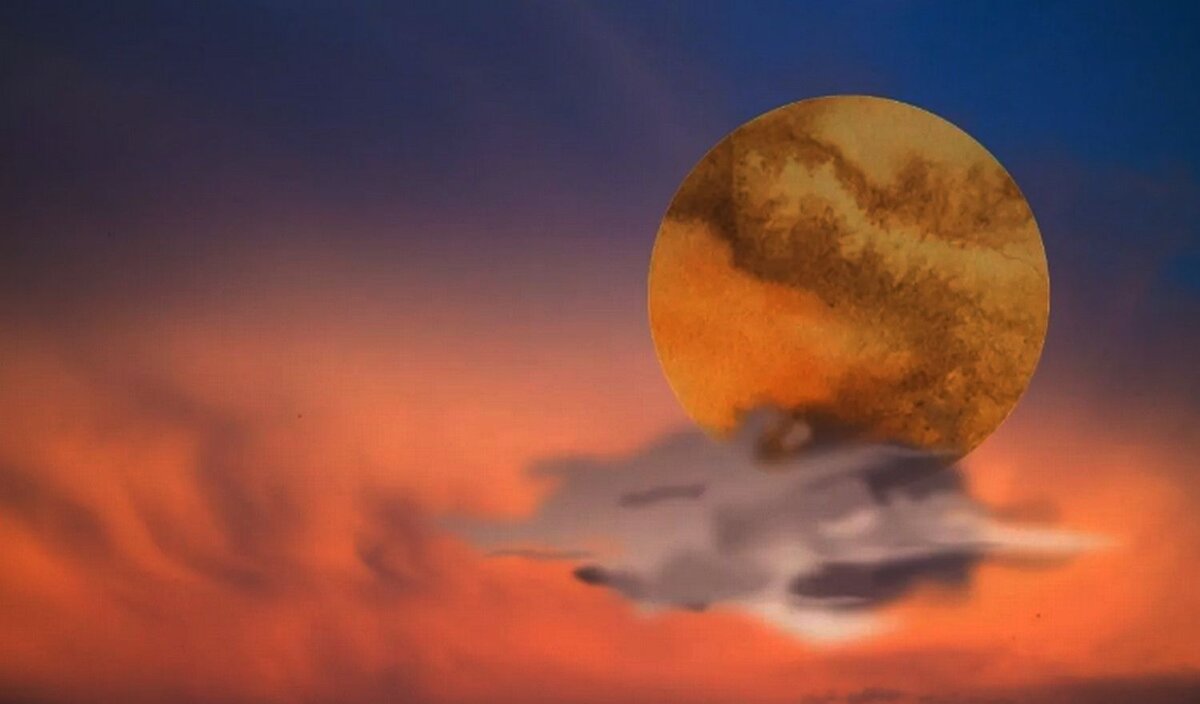 Коллаж: canva.com