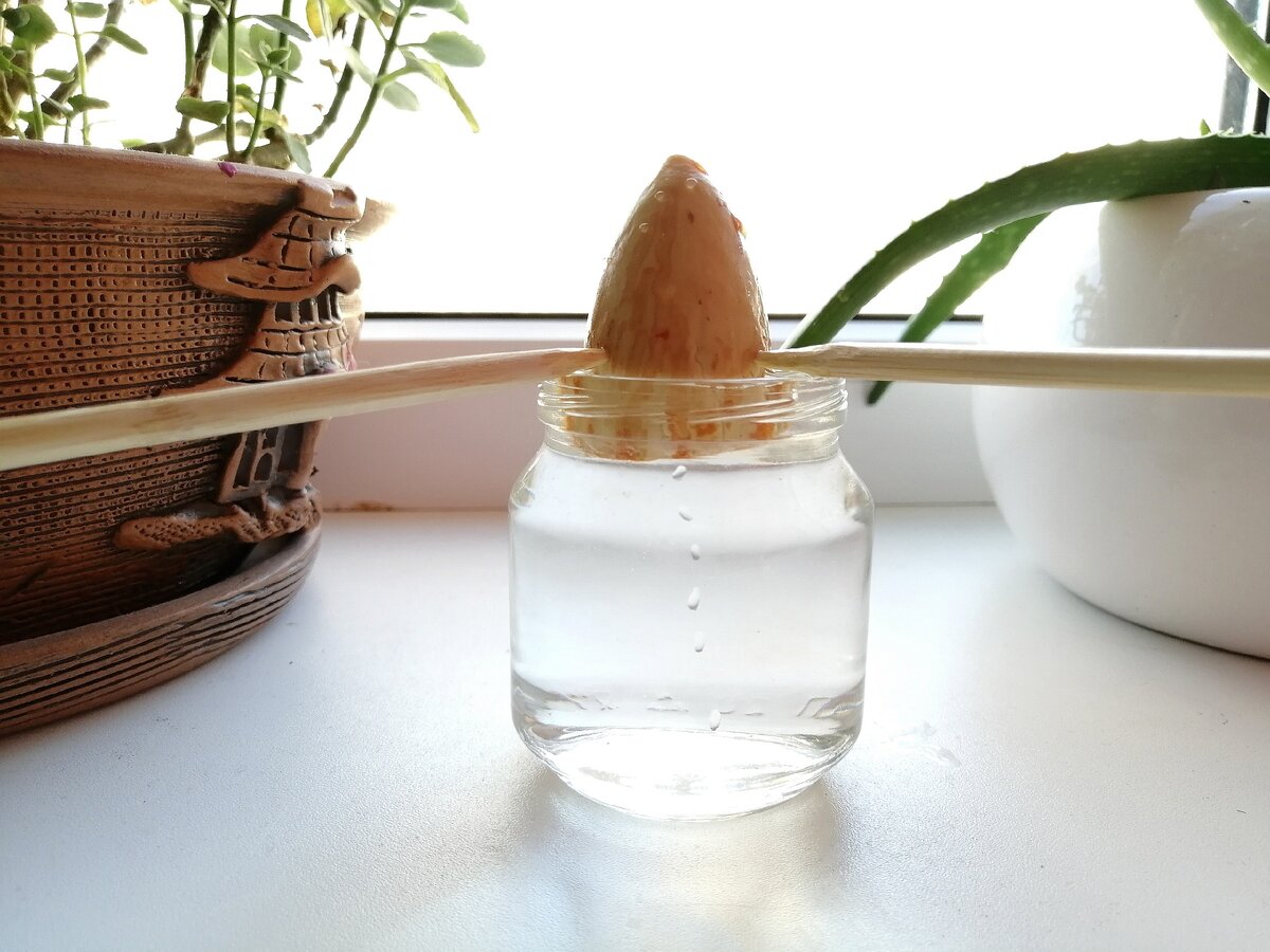 Фото принадлежит каналу 