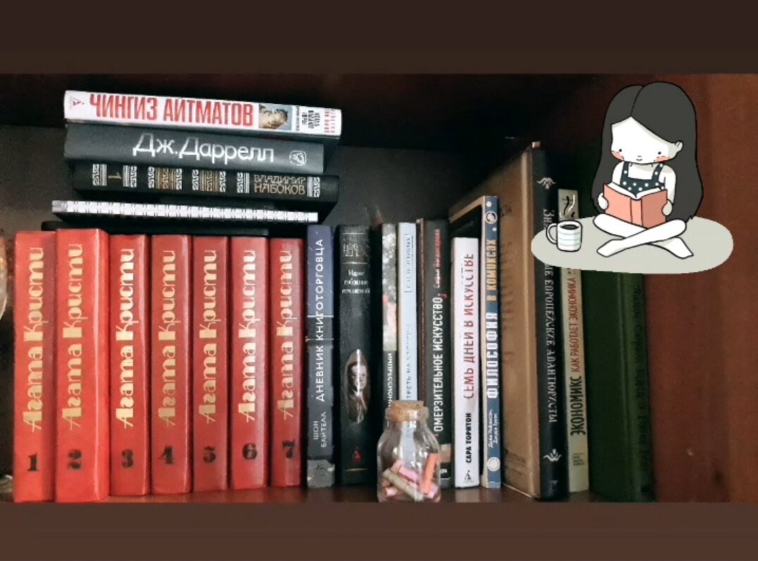 Кусочек моего книжного шкафа