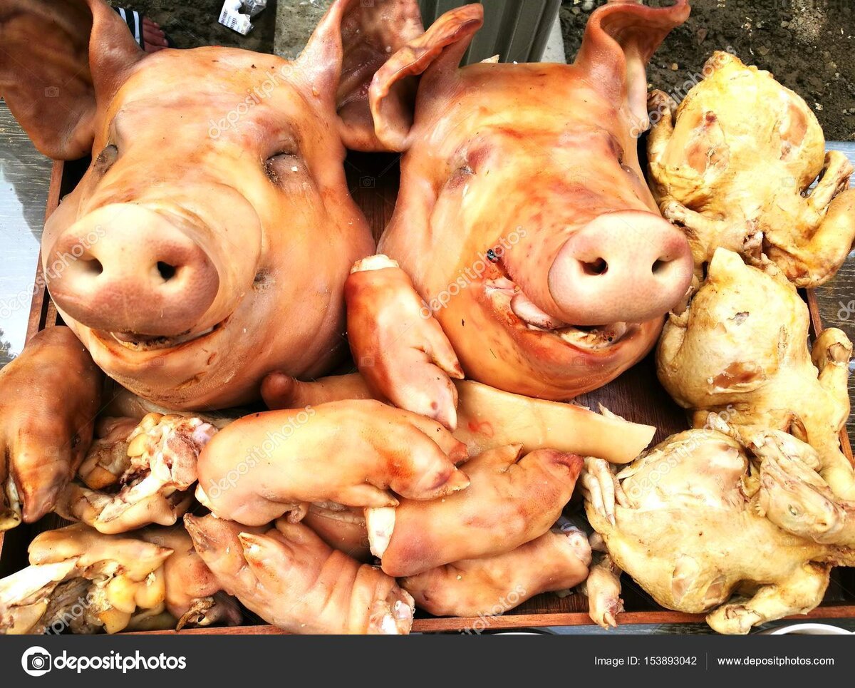 ФОТО ИЗ ОТКРЫТЫХ ИСТОЧНИКОВ.