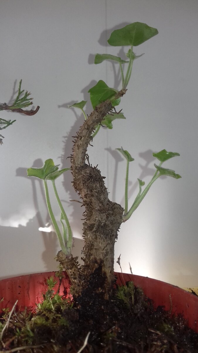 Январь 2019 года