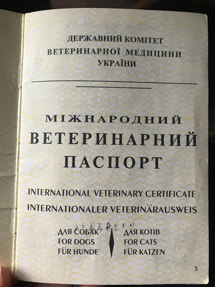 ветпаспорт