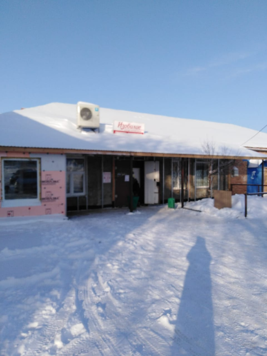 Здесь, у магазина, живёт собака Малайка