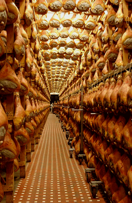 Музей прошутто ди Парма