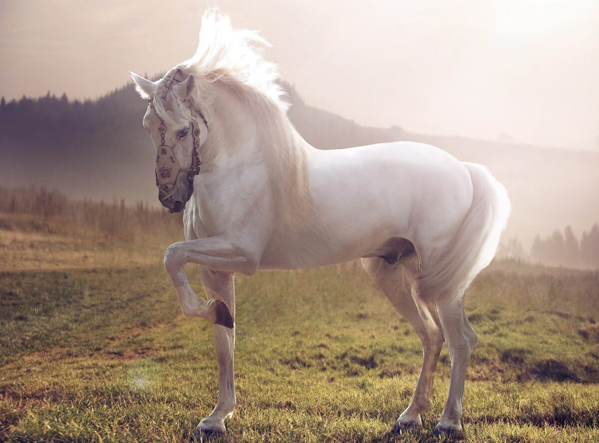 Фото из свободного источника.