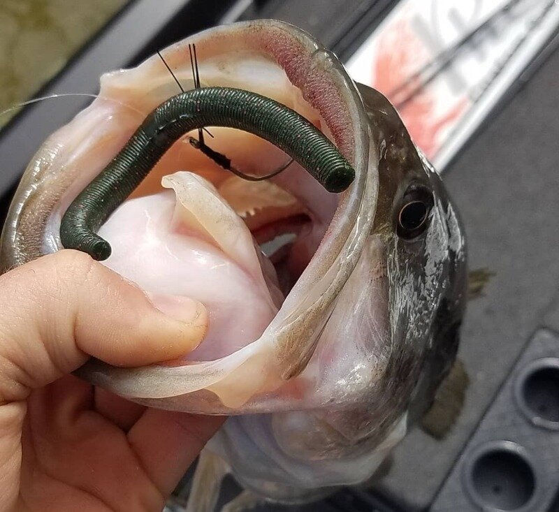 Источник фото https://www.instagram.com/p/B9_7aLPAk-G/