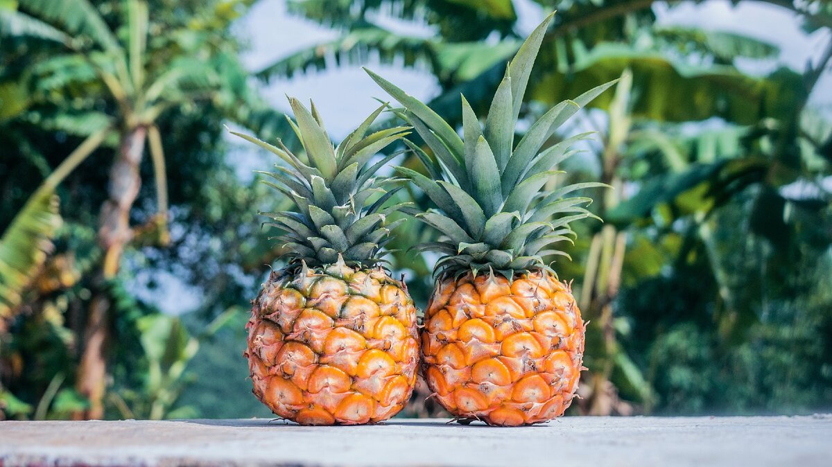 Photo by Phoenix Han on unsplash.com 