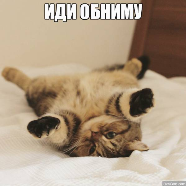 картинка из открытых источников