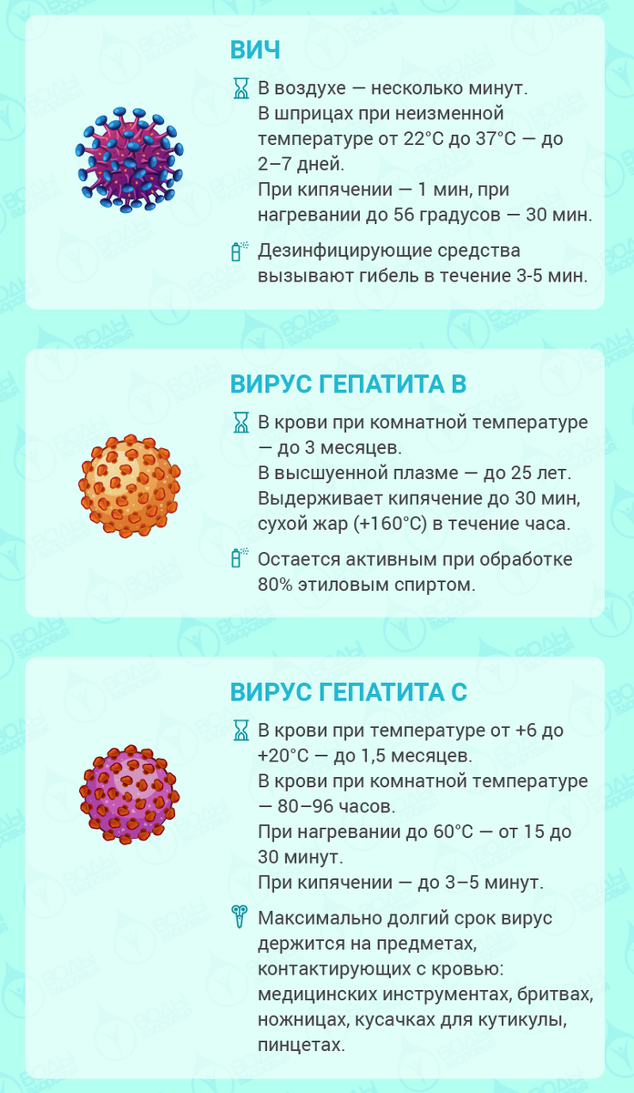 Гепатит вне организма живет. Срок жизни вирусов вне организма. Продолжительность жизни вирусов. Условия жизни вирусов. Сколько живут вирусы вне организма.