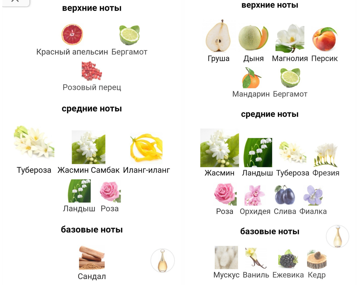 Сравнение пирамид с Фрагрантики