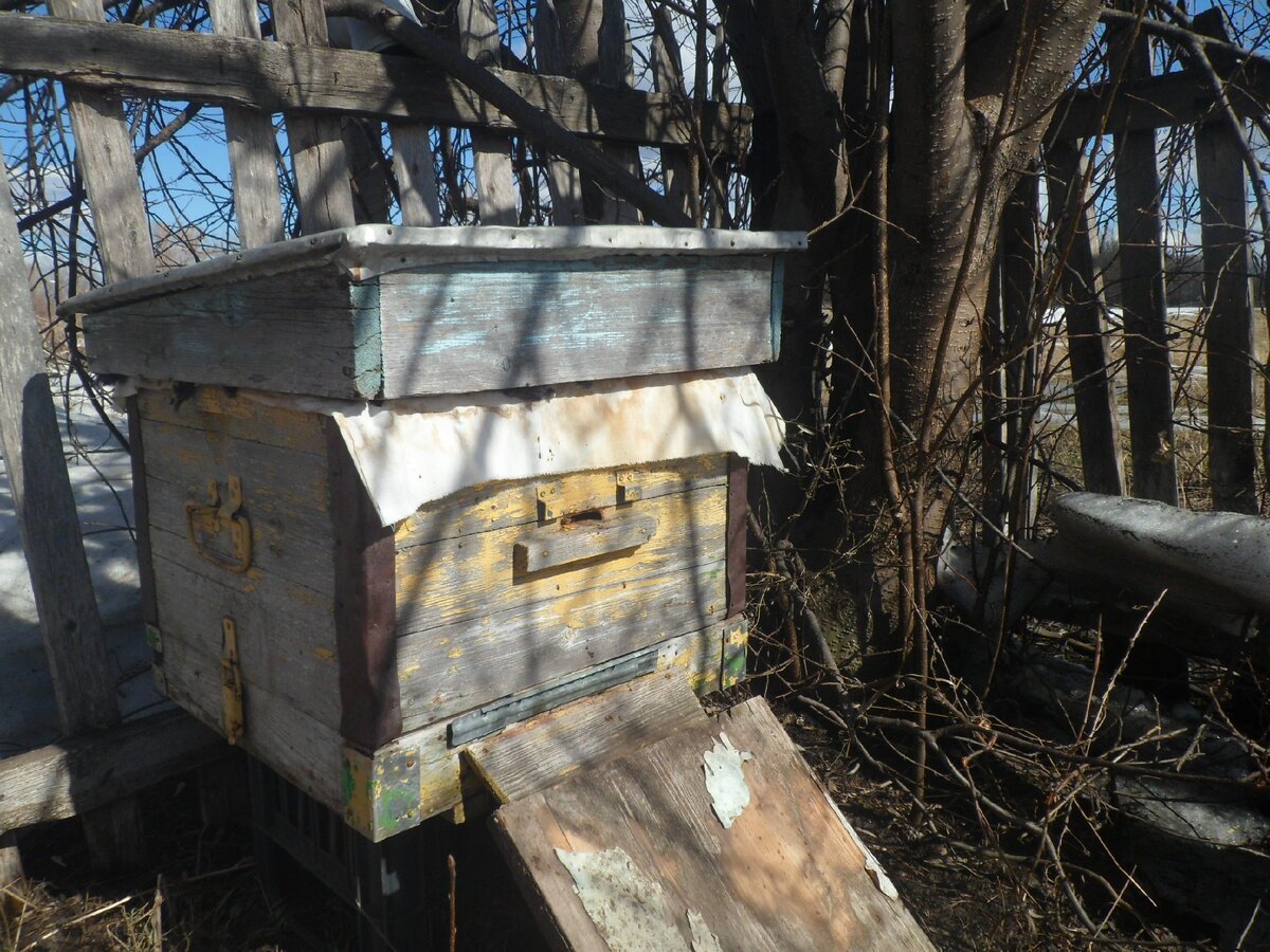 Дадан с верхним и нижним щелевыми летками. Весна.