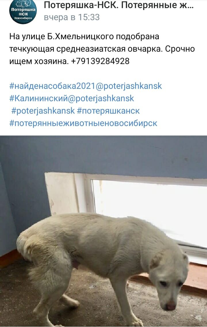 Обьявление про Индиру