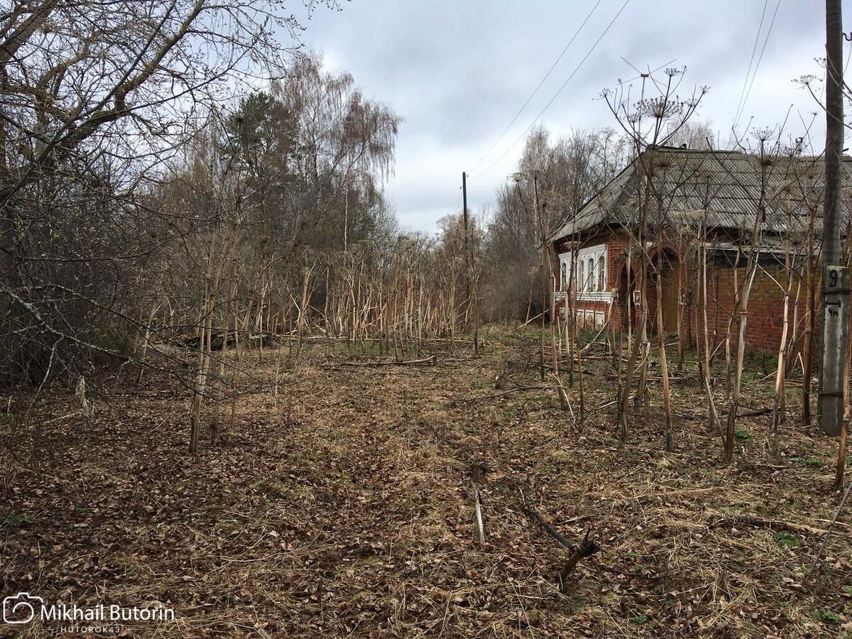 Летом торчат лишь верхушки крыш.
