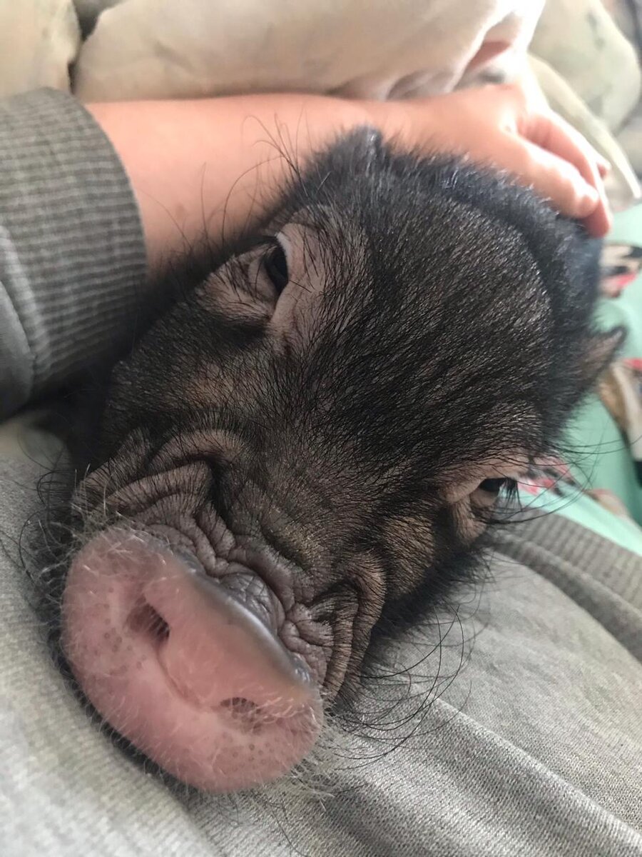 Пусть будет Митя на обложке