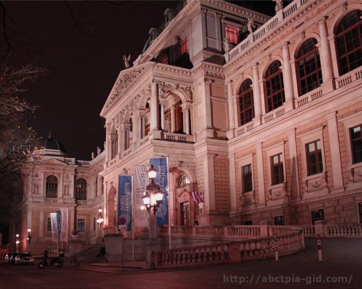 Венский центральный университет 