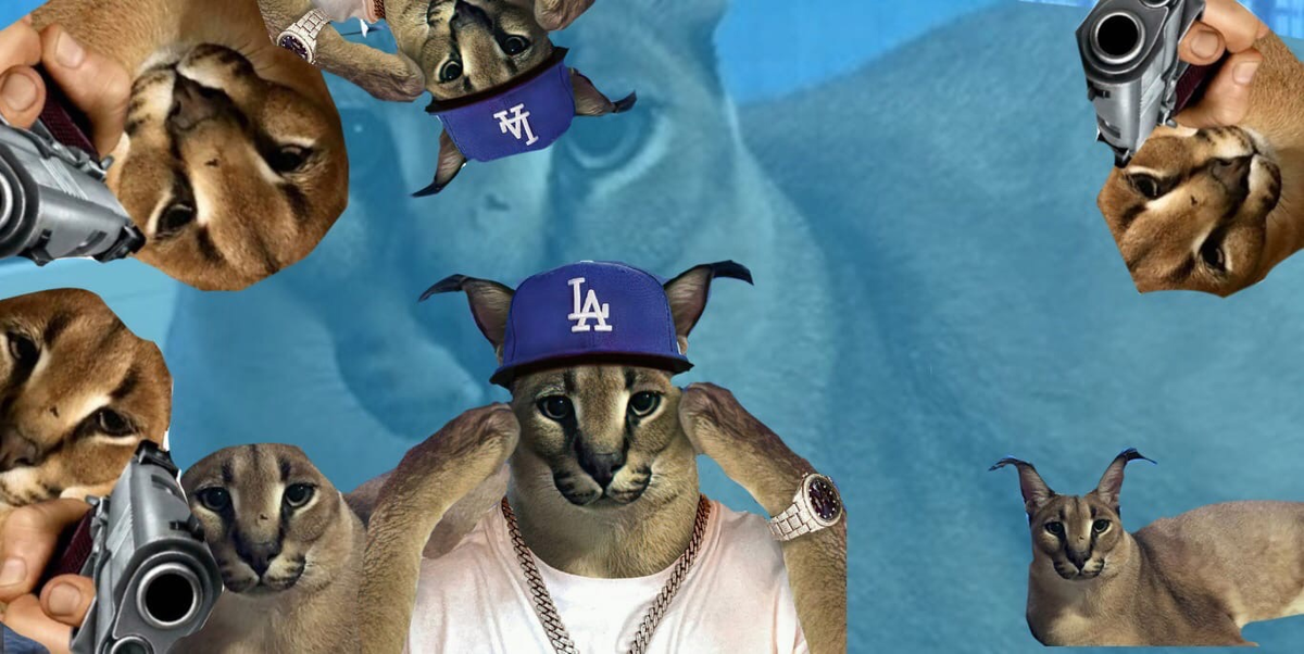 Репер Шлепа)